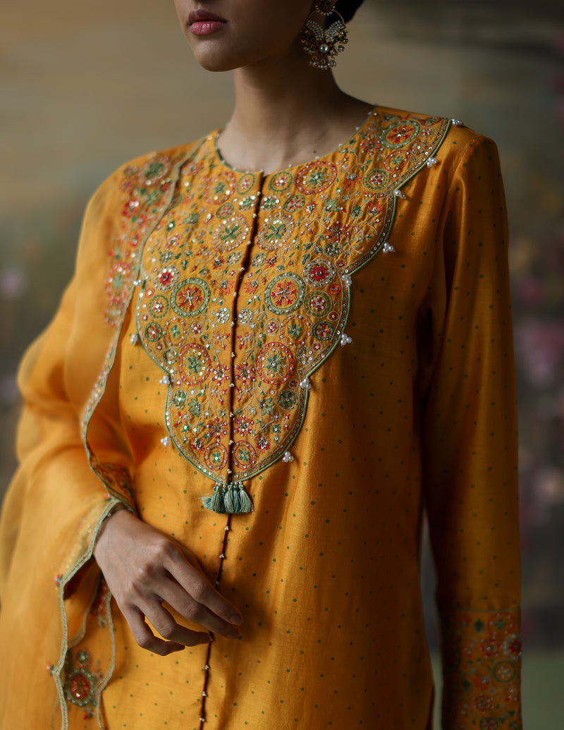 TURMERIC NAVELI KURTA SET