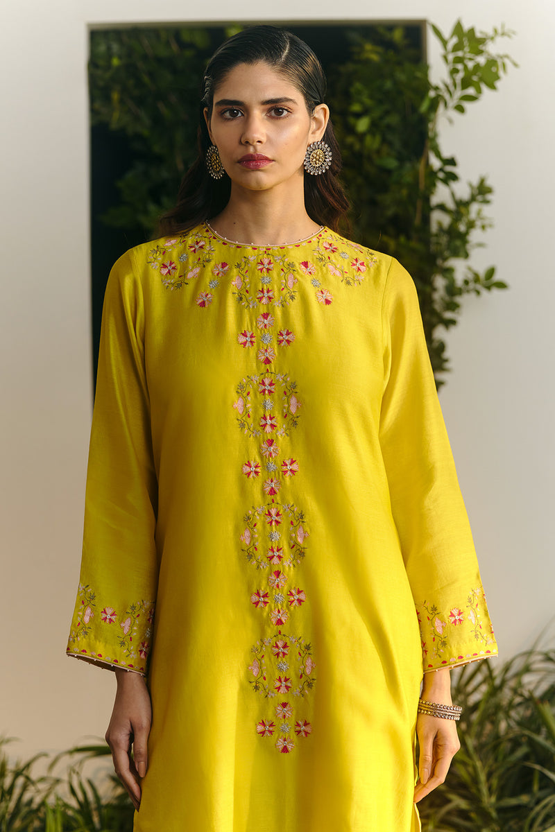 Anika Kurta Set