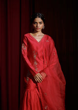 BERRY AMAIRA SILK SHARARA SET