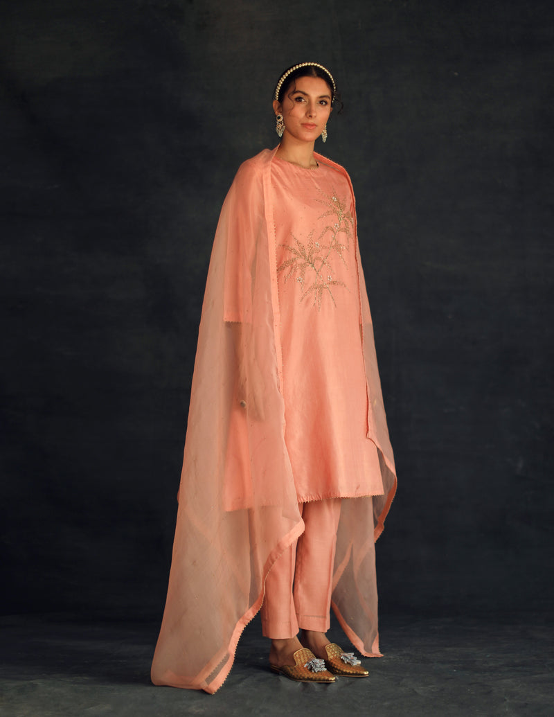 Salmon Hania Silk Kurta Set