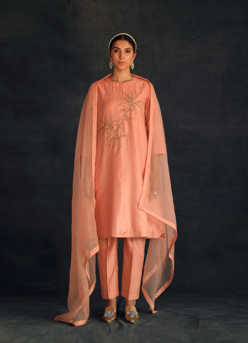 Salmon Hania Silk Kurta Set