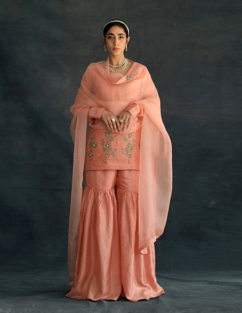 Salmon Amaira Silk Sharara Set