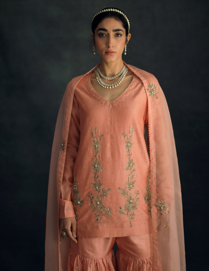 Salmon Amaira Silk Sharara Set