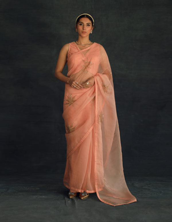 Salmon Savi Silk Organza Saree (excluding blouse)