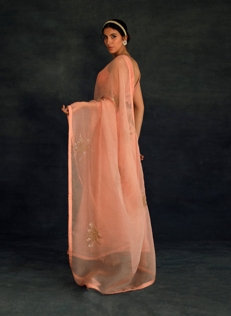 Salmon Savi Silk Organza Saree (excluding blouse)