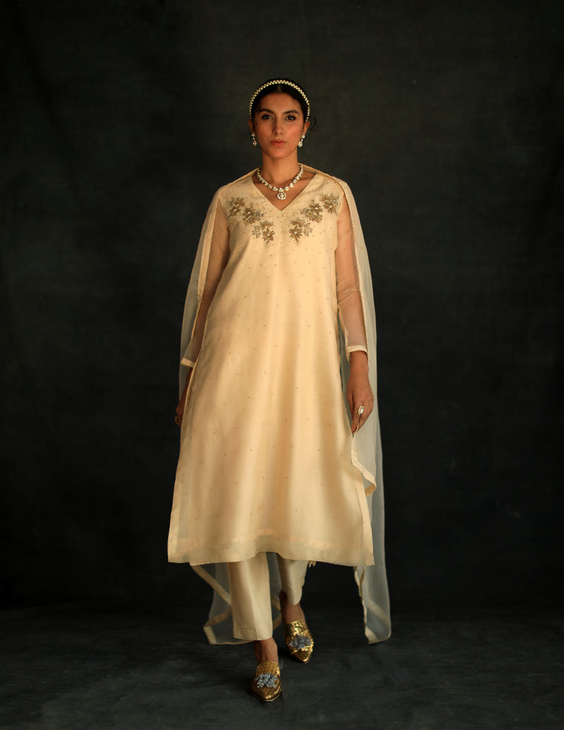 Beige Jasmin Silk Organza Kurta Set