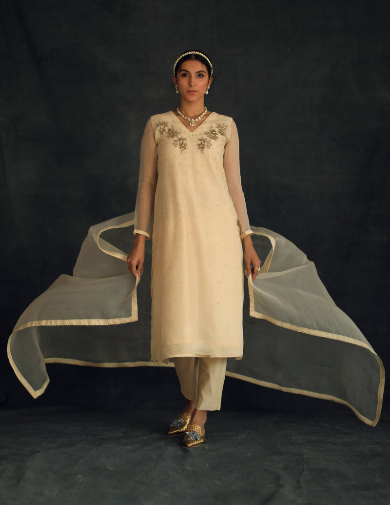 Beige Jasmin Silk Organza Kurta Set