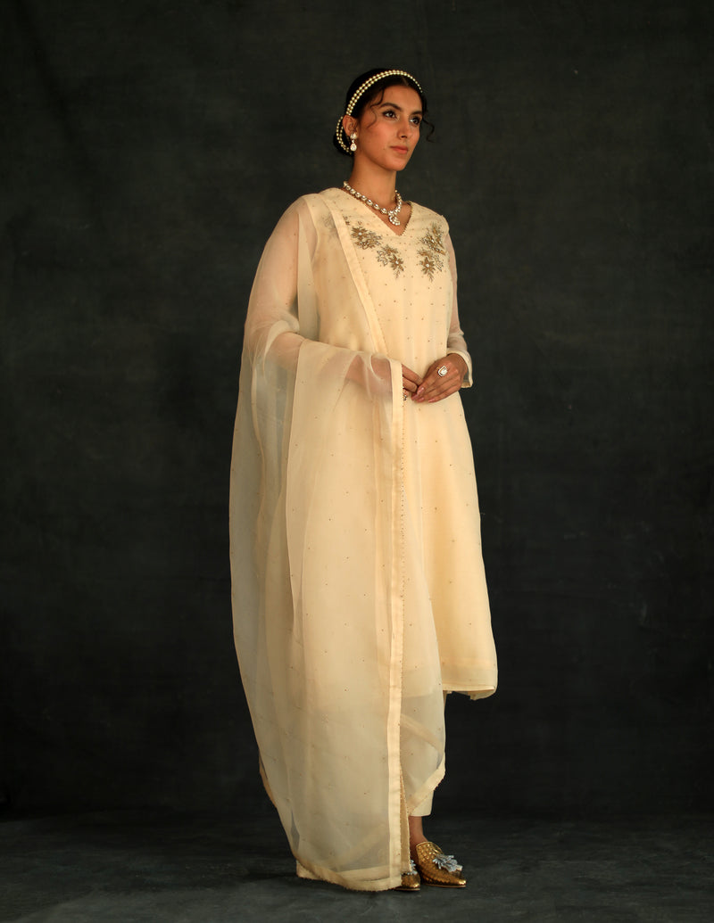 Beige Jasmin Silk Organza Kurta Set